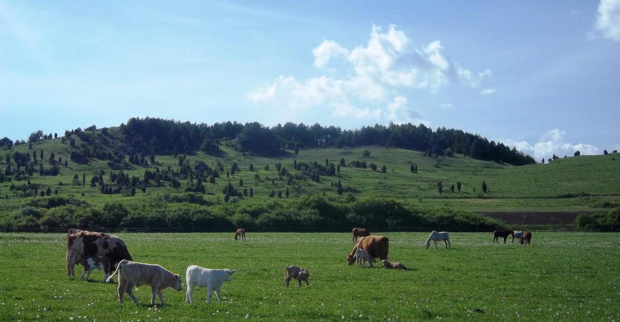 Penzion Ranch Fah Spišské Podhradie